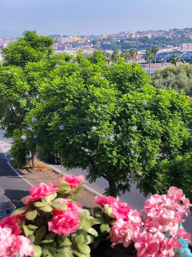 B&B Policlinico Gaspare Rodolico Catania Bed & Breakfast